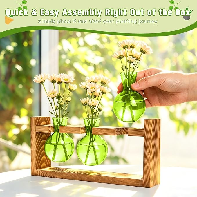 XXXFLOWER 3 Bulb Glass Propagation Station with Wooden Stand, Propagation Vase Propagated Plant Holders Tabletop Planter, Gardening Hydroponics Gift Home Office Indoor Decor (Green)