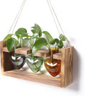 Plant Terrarium Propagation Stations Hydroponics Home Garden Decoration Gift for Women with Wooden Stand Heart Shaped Colored Glass Vase