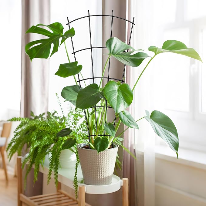 Thealyn 4 Pack 32" Metal Plant Trellis for Pots & Garden Beds, Rustproof Support for Indoor Outdoor Climbing Plants, Vines, Flowers, Fan Shaped, Black