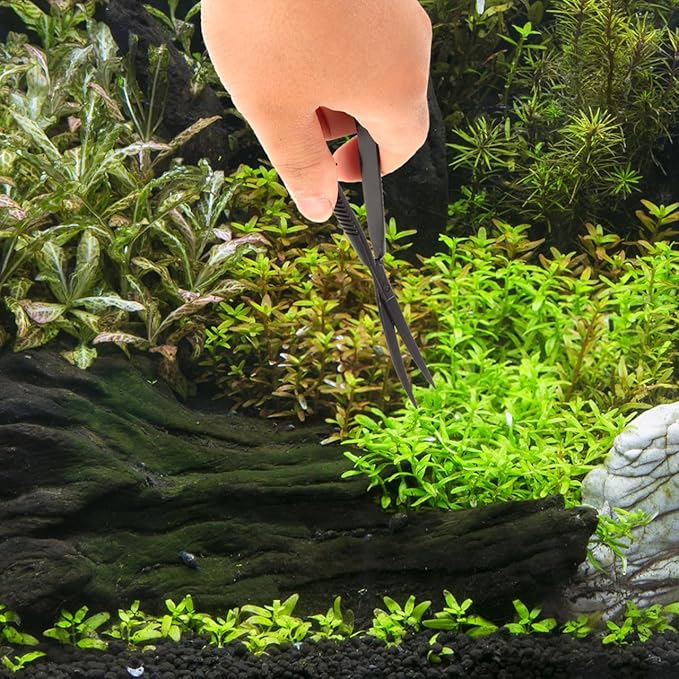 POPETPOP 6.1 Inch Curved Aquarium Scissors Water Grass Shears Spring-Loaded Precision Pinch Action for Aquascaping and Small Plant Trimming