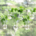 Bunmery 6 pcs Window Propagation Stations, Easy to Install Plant Propagation Bulbs with Suckion Cups, No Nails Wall Hanging Planter Propagation Station, Glass Plant Terrarium Vase