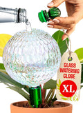 16 Oz Plant Watering Globes for Indoor Plants with Metal Self Watering Planter Insert - Premium XL Glass Hand-Blown Globe - Automatic Plant Waterer Indoor, Gift Idea for Gardeners [1 Globe, Textured]