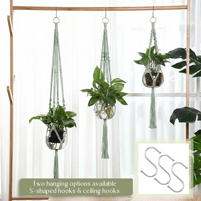Colingmill 6 Pcs Plastic Plant Propagation with Boho Macrame Hanger Wall Plant Propagation Station Hanging Holder Include Hooks Kit for Indoor Home Garden Office Decor 3 Size (Sage Green)
