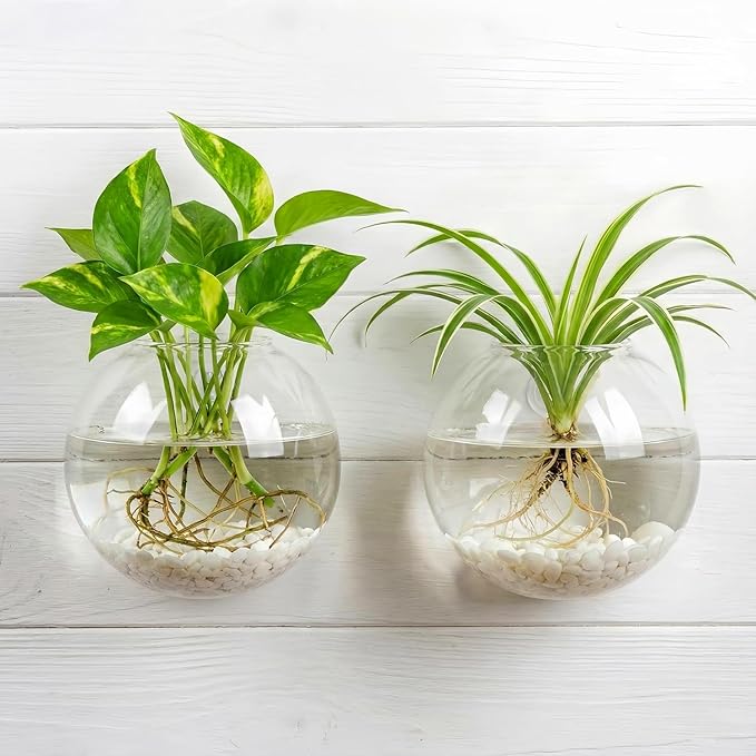 Unijoy Hanging Wall Planter Propagation Stations - Window & Wall Glass Terrarium with Decorative Stones for Indoor Plants - Plant Holder Vases for Best Boho Chic Home & Office Decor