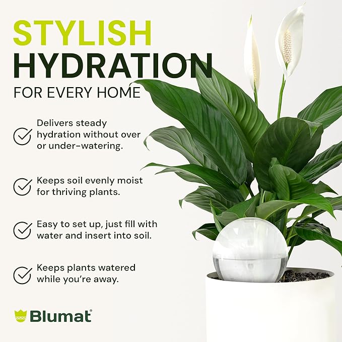 Blumat Clear Globes Single Pack - Automatic Watering Stake with a Beautiful Look