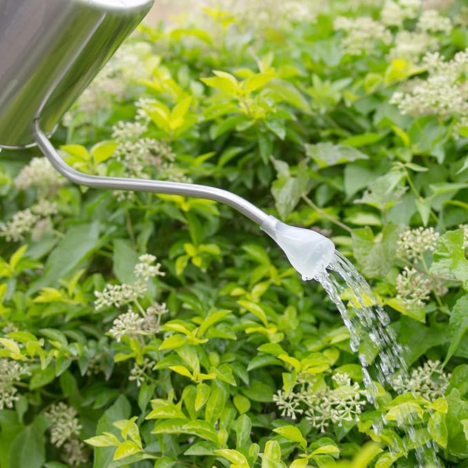 Stainless Steel Silver Colored Watering Can 1/2 Gallon Long Spout Watering Pot for Indoor Plant Watering or Outdoor Gardening with 2Pcs Removable Spray Spout for Flowers