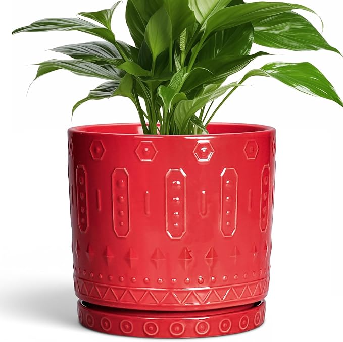 Eightpot Ceramic Plant Pots, 8 Inch Plant Pots Indoor Outdoor, Round Flower Pot with Drainage Hole and Sacuer, Boho Pot for Plants, Decorative Planter, Home Room Bathroom Decor, Garden Gifts, Red