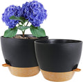 WSMKSZ 8 inch Self Watering Pots, 2 Pack Plastic Planters with Mesh Drainage Holes for Garden Plants and Flower, Plants Pots with Deep Reservoir for Indoor Outdoor Plants, Black with Brown