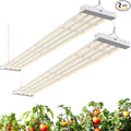 Barrina TX-L84 4FT Grow Light, 168W (2 x 84W), 4 LED Panels Wider Coverage, Full Spectrum with 730nm IR LEDs, High PPFD, Linkable, Hanging for Plant Light Indoor, Seeding, Vegetable, Flowers, 2 Packs