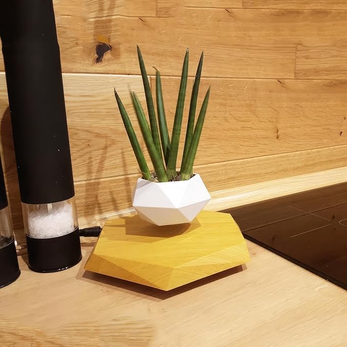 Magnetic levitation Potted Plants, Rotating Flower pots, Suitable for Home Decoration Bonsai, Creative Fashion Ornaments (Color : C)