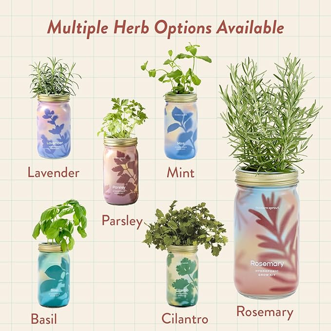Modern Sprout Mason Garden Jar - Self-Watering Hydroponics Growing System Kit with Organic Herb Seeds - Jar Planter for Indoor Herb Garden - Seed Starter Kit - Home Decor & Gifting - Rosemary