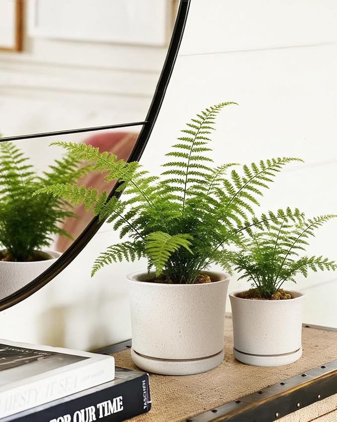 Ceramic Plant Pots Set of 3 with Saucers, 4.3/5.5/7 Inch Planters for Indoor Plants, Drainage Hole Flower Pots for Succulents, Herbs, Aloe, Modern Home Decor, White