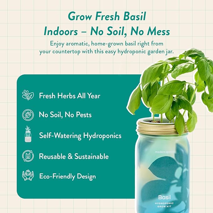 Modern Sprout Mason Garden Jar - Self-Watering Hydroponics Growing System Kit with Organic Herb Seeds - Jar Planter for Indoor Herb Garden - Seed Starter Kit - Home Decor & Gifting - Basil