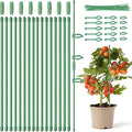 12inch Plant Stakes, 16Pcs Adjustable Plant Support Stake Plant Sticks for Indoor Outdoor Green Poles with Rings Clips & Ties for Potted Plants Monstera Tomato Orchid Flower