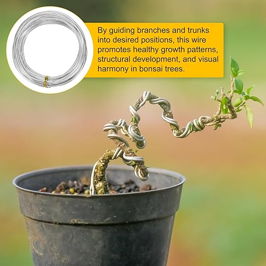 M METERXITY 2.5mm Bonsai Training Wire, 16.4 Feet Total Anodized Aluminum Bonsai Wires for Bonsai Tree Shaping/Branches Fixing/Trunk Holding/DIY Crafting [Silver]