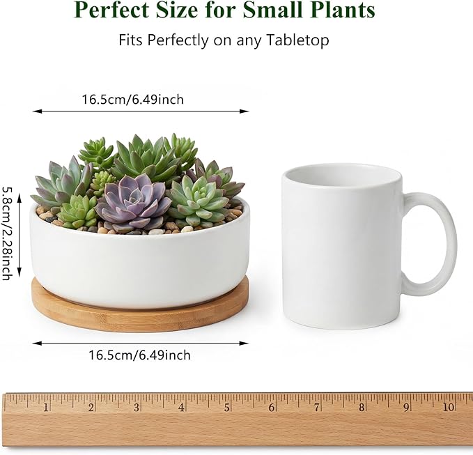 ZOUTOG Succulent Pots,6 Inch Succulent Planters with Drainage and Tray,White Ceramic Planters for Indoor Plants,Round Flower Plant Pots,Pack of 4