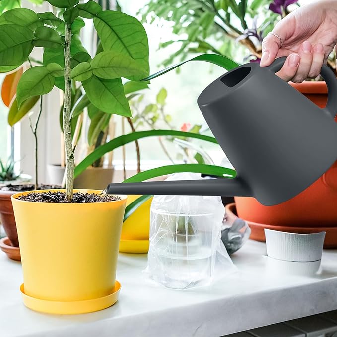 Indoor and Outdoor Watering Can - Long Spout -1/2 Gallon (64oz) - Grey