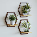 3 Pack Solid Wood & Heavy Duty Metal Wall Plant Stands,9 inch Natural Wood Shelf, Boho Arch Hanging Planter for Indoor 25 LB Load for Plants Coffee
