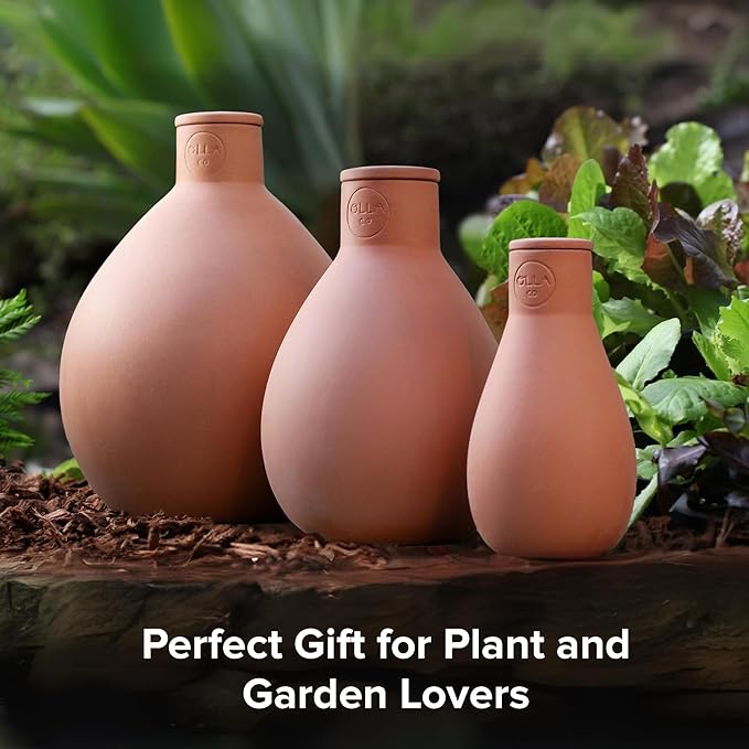 The Olla Company Classic Olla Watering Pot with Lid - Terracotta Self Watering Irrigation up to 2 ft in Diameter for Gardens, Raised Beds, and Pots - Vacation Friendly - Small