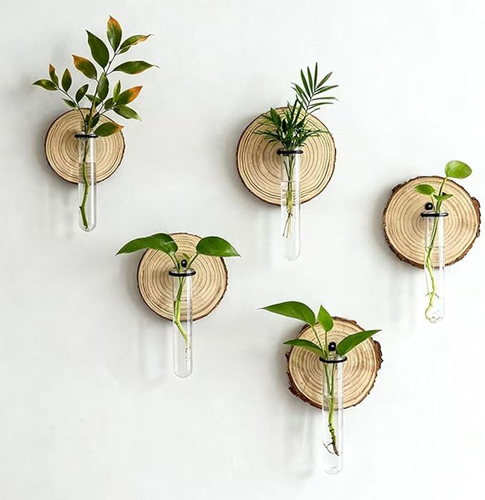 Plant Propagation Station,Wall-Mounted Hydroponic Propagator System Holder | Test Tubes Vase Planter - for Home Office Balcony Terrace Gardening Window Water Women Men Mom