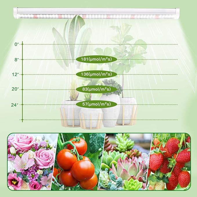 GYTF T5 LED Grow Lights, 1.4Ft 5000K Full Spectrum White Grow Lights for Indoor Plants Strip, Greenhouse Succulent Seed Starting, End-to-End Design