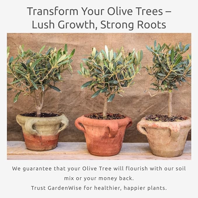 GARDENWISE Organic Olive Tree Potting Mix – Fast-Draining, Nutrient-Rich Soil for Indoor & Outdoor Olive Trees – Mediterranean Plant Care – Long-Lasting Formula (10 QUARTS)