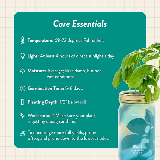 Modern Sprout Mason Garden Jar - Self-Watering Hydroponics Growing System Kit with Organic Herb Seeds - Jar Planter for Indoor Herb Garden - Seed Starter Kit - Home Decor & Gifting - Basil