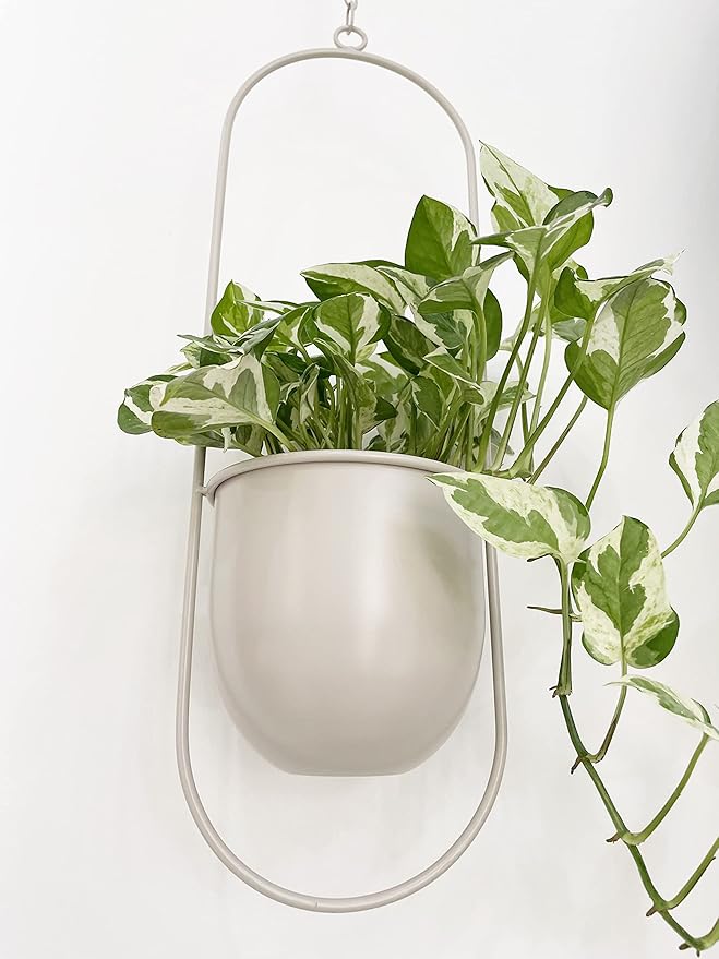 RISEON Boho Beige Metal Plant Hanger,Metal Wall and Ceiling Hanging Planter, Modern Planter, Mid Century Flower Pot Plant Holder, Minimalist Planter for Indoor Outdoor Home Decor