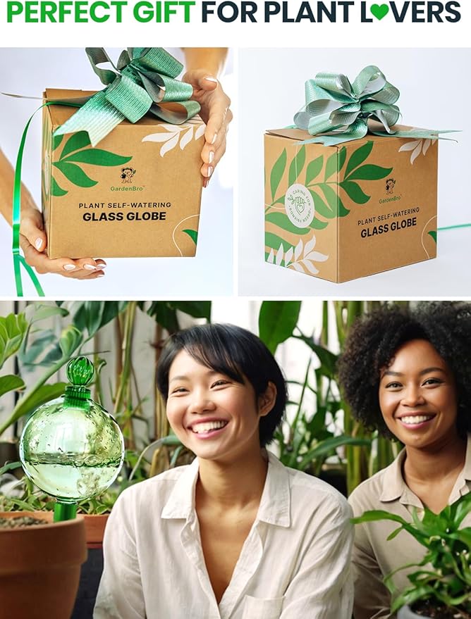 16 Oz Plant Watering Globes for Indoor Plants with Terracotta Self Watering Planter Insert - Hand-Blown XL Glass Globes - Automatic Indoor Planter Waterer, Gift Idea for Gardeners [1, Emerald]