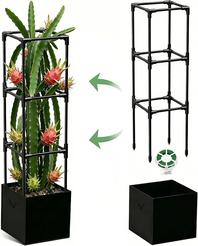 Dragon Fruit Trellis for Climbing Plants Indoor Outdoor, Heavy Duty Metal Adjustable Vertical Garden Support for Indoor Outdoor Potted Plants, Tomato, Cactus, Roses,Vines(12 * 12 * 47inch,1PC)