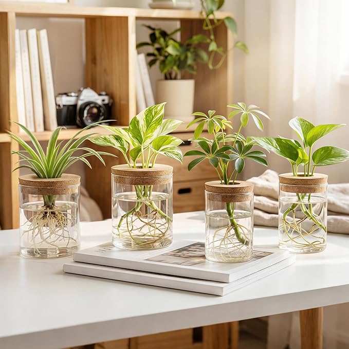Dahey 4Pcs Glass Plant Propagation Stations Desktop Propagation Vases for Plants, 2 Large Planters Jars & 2 Small Pots Vases for Indoor Hydroponic Plant Cuttings, Living Room Home Office Bedroom Decor