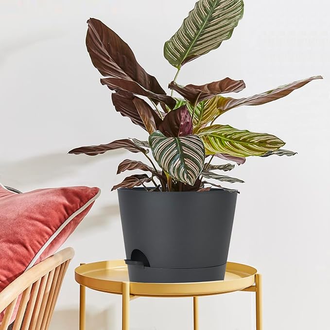 SwinDuck 12inch Large Self Watering Plant Pot, Plastic Cylinder Planter with 60Oz Deep Reservoir and Saucer for Indoor Outdoor Plants Flowers Houseplants, Black