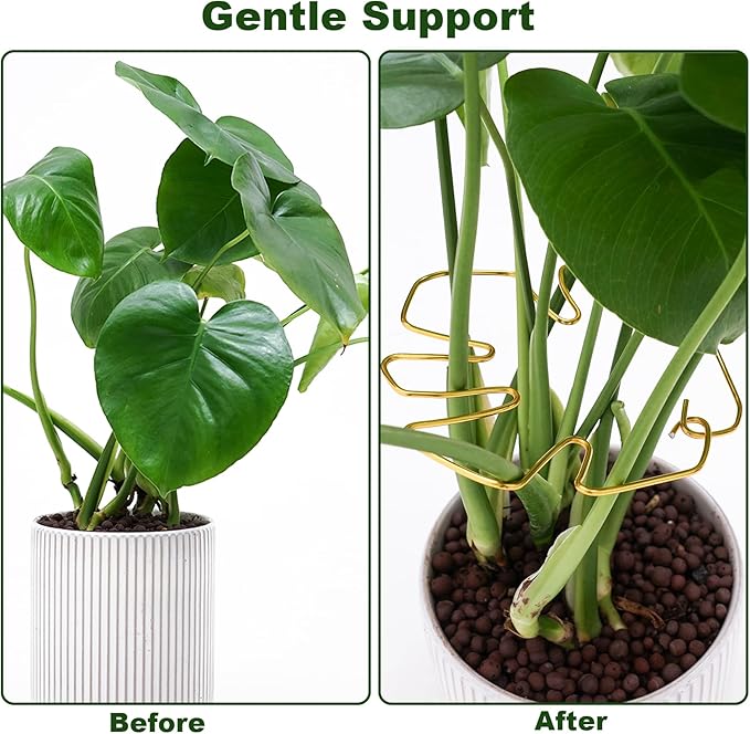 6PCS Plant Stem Support, Monstera Plant Support, Unique Designed Stable Plant Support Stakes for Plants Stabilizer, Turtle Shell Bamboo Clamp Set for Outdoor & Indoor Climbing Plants Thriving Growth