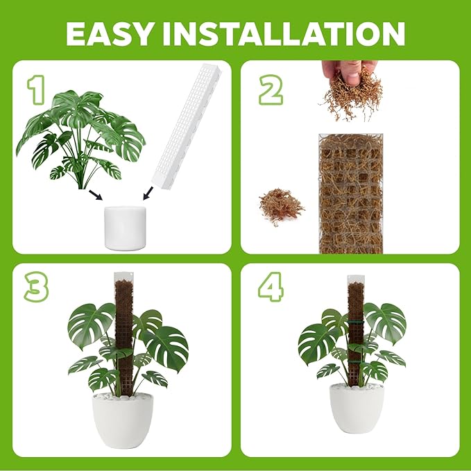6 Pcs 24 Inch Plastic Moss Pole for Plants Monstera, Transparent White Large D Shaped Plant Support for Climbing Indoor Plants Ideal for Sphagnum Moss