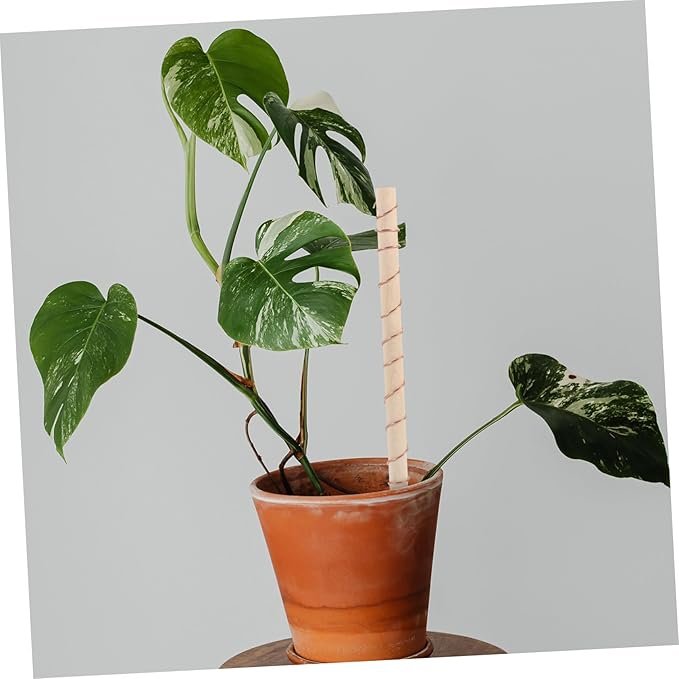 BESPORTBLE 2pcs Copper Wire Antenna Electroculture Gardening for Indoor and Outdoor Plants Lightweight Copper Coil for Signal Reception Suitable for Vegetables and Flowers