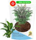 Professional Peace Lily Soil 8.2 Quarts Ready to Use, Premium Potting Soil for Peace Lily Plant Indoor, Peat Moss Coco Coir Perlite Dolomite, Well Draining Peace Lily Potting Soil Made in USA