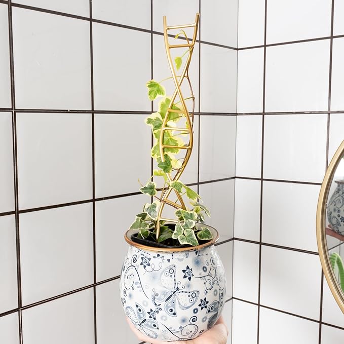 Yohsnor 3PCS DNA Plant Trellis Indoor and Outdoor - Lightweight Metal Trellis for Potted Plants, Hoya & Pothos Climbing Support, Artistic Geometric Design, Durable & Easy Installation