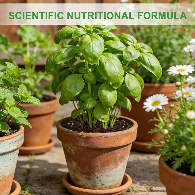 Organic Potting Soil Mix for Indoor Plants & Herb Gardens 1qt- All-Purpose Nutrient-Rich Natural Soil