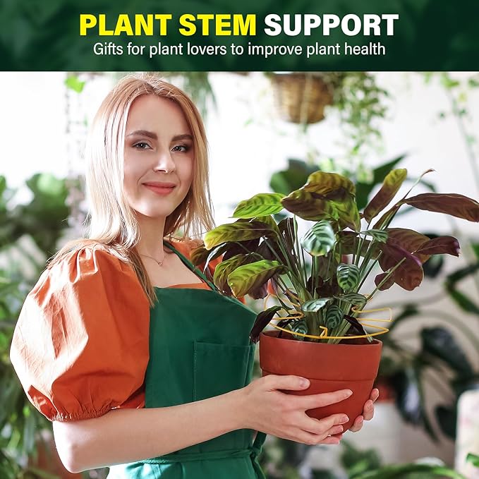 6Pcs Iron Monstera Plant Support Stakes - Indoor Plant Holders for Stem Support and Thriving Growth (Mix Color)