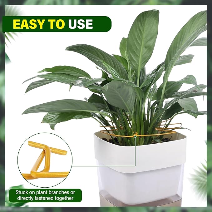 6Pcs Gold Iron Monstera Plant Support Stakes - Indoor Plant Holders for Stem Support and Thriving Growth