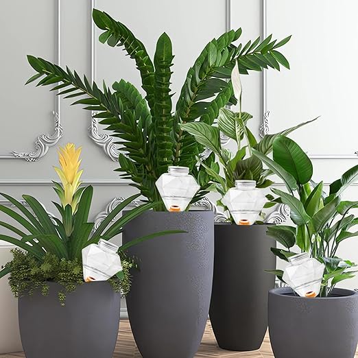 Watering Globes XL - 6 Pcs Diamond Plastic Shape Plant Watering Globes Self Watering Planter Insert 17oz Large for Indoor＆Outdoor Plants Watering Bulbs