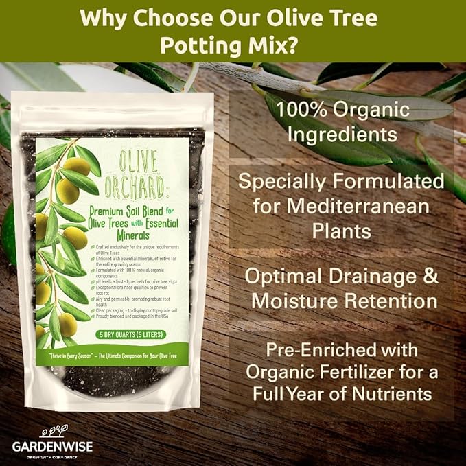 GARDENWISE Organic Olive Tree Potting Mix – Fast-Draining, Nutrient-Rich Soil for Indoor & Outdoor Olive Trees – Mediterranean Plant Care – Long-Lasting Formula (4 QUARTS)