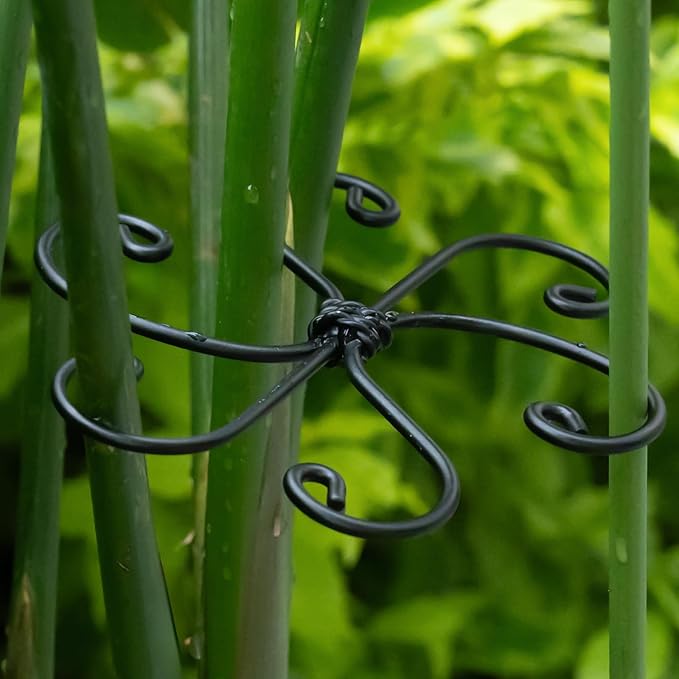 Yohsnor Monstera Plant Support Hook - 4.1x4.1IN 5PCS, Durable Adjustable Stem Support System, Gentle Protection for Monstera and Fishbone Cactus, Professional Indoor Plant Stabilizer