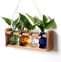 Plant Propagation Stations Halloween Skull Plant Terrarium Kit Glass Vases Gift for Father Air Planter Home Office Decor