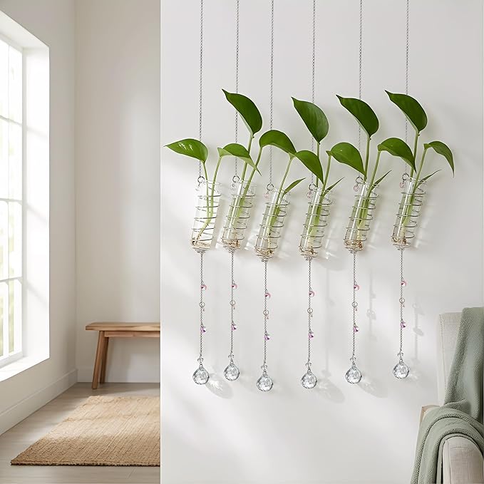 H&D HYALINE & DORA 6 Pcs Hanging Plant Propagation Station with Crystal Ball Prisms Suncatcher and Cleaning Brush, Glass Wall Planters for Indoor Plants Hydroponics Gifts for Plant Lovers(Silver)