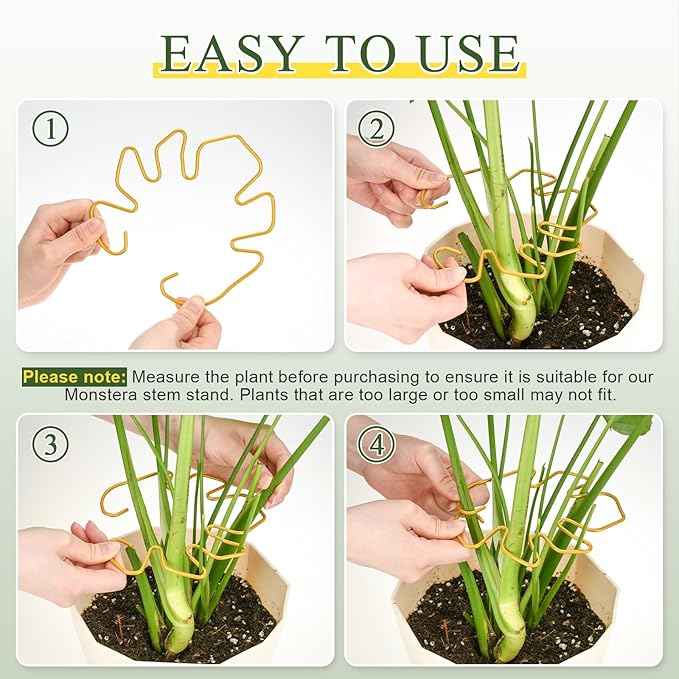 Monstera Plant Support 3 Pack, Plant Supports for Indoor Plants, Metal Plant Stem Holder Large Plant Support Ring Unique Design for Climbing Plants Stem Stabilizer Growth Accessories (Gold)