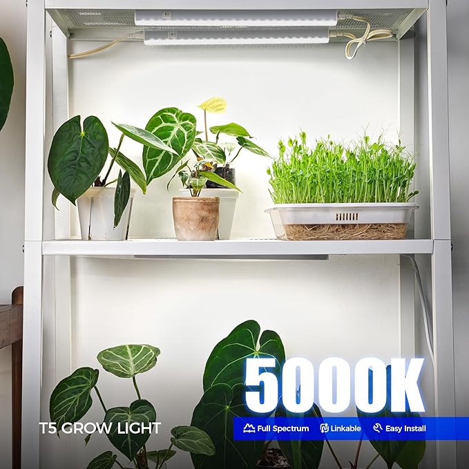 Barrina T5 Grow Lights for Indoor Plants, 1ft Plant Lights for Indoor Growing, 5000K White Full Spectrum Grow Light, Individual Switch, T5 Grow Light Strip, Plug and Play, 8-Pack