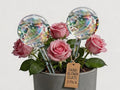 Plant Watering Globes, Thick Clear Iridescent Rainbow Glass Self Watering Globes, Automatic Plant Watering Bulbs for Indoor & Outdoor Potted Plants, Hanging Baskets, Home & Garden, 2-Pack