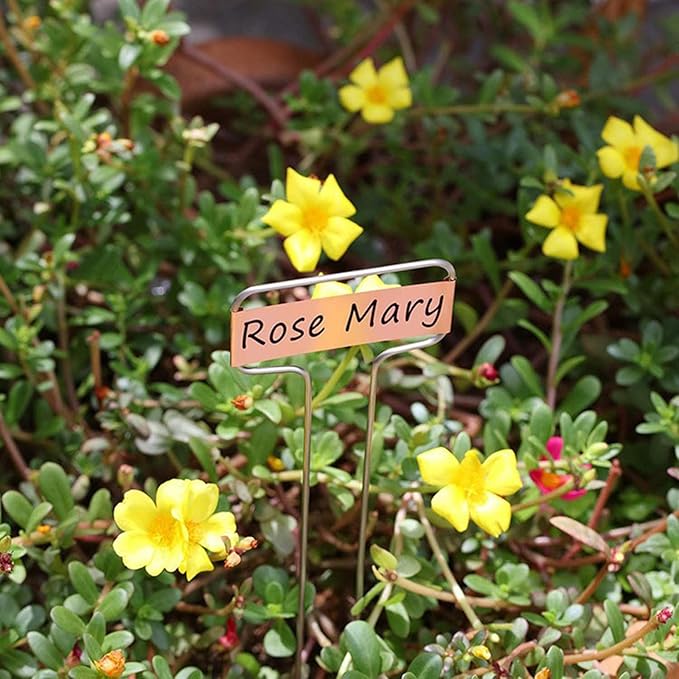 15pcs Copper Plant Markers Garden Label Stakes for Outdoor Plant Identification Vegetable Flower Name Tags Waterproof Metal Sign Stakes for Herb and Seedling Gardening(10IN)
