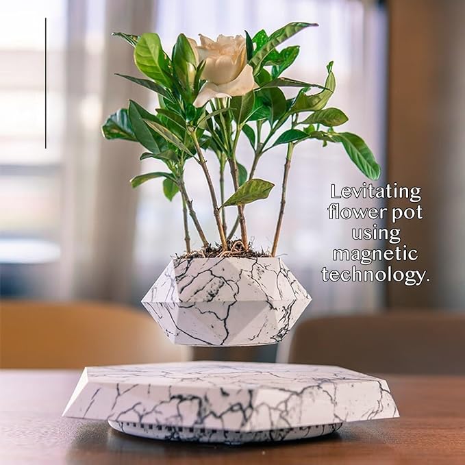 Magnetic Levitating Planter with Geometric Black Design for Home and Office Decorative Display (Wood)